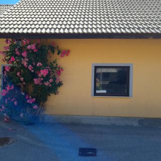 Apartma Nina - Bohinj - 8