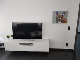 Duingalm - Modern 2 Bedroom Apartment - 100M from the beach - De Haan - 1