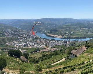 Hidden Gem w/ Rooftop - City Center & Douro View - 5