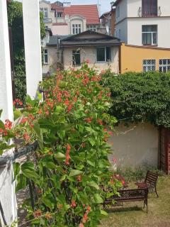 Iwona Hostel - Budget Rooms with Private Bathrooms - Sopot - 3