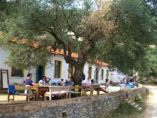 Shkolla Hostel & Camping - Vuno - 9
