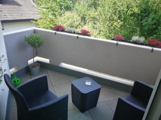 Ferienwohnung Toskana mit Schwimmbad und Sauna - Bad Bergzabern - 3