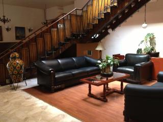 Hotel Gomez de Celaya - Celaya - 2