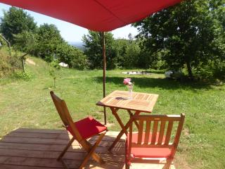 Rosa the Cosy Cabin - Gypsy Wagon - Shepherds Hut, RIVER VIEWS Off-grid eco living - 8