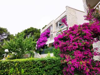 Villa Bose- Apartmani Luka Šodan - Brela - 1