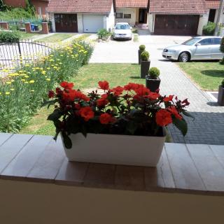 Silent Apartmanház Harkány - Harkány - 2