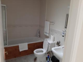 Mount Wolseley Holiday Home - Privately Owned - Tullow - 1