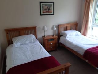Mount Wolseley Holiday Home - Privately Owned - Tullow - 4