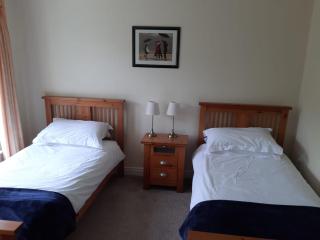 Mount Wolseley Holiday Home - Privately Owned - Tullow - 5
