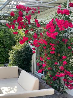 Villa Starnberger See - 6