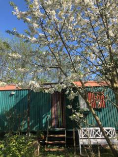 Bauwagen für 4 Pers. - 9