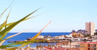 Spectacular penthouse 100m from beach - Jávea - 7