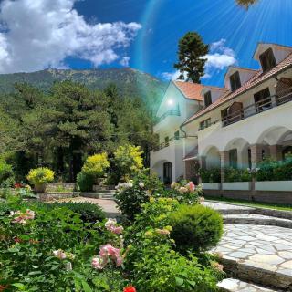 Hotel Alpin Llogara - Llogara - 9