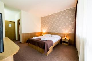 Hotel Muresul Health Spa - 4