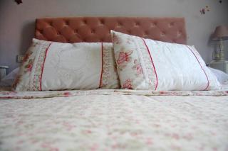 B&B Villa Agnese Lucca - Lucques - 9