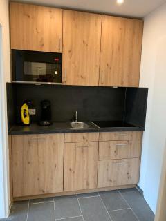 Haus am Sonnenberg,Todtnauberg, Ferienwohnung 105, direkt am Skilift-Skipiste, Nähe Feldberg - 9