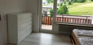 Haus am Sonnenberg,Todtnauberg, Ferienwohnung 105, direkt am Skilift-Skipiste, Nähe Feldberg - Todtnauberg - 5