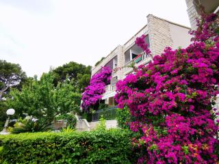 Villa Bose- Apartmani Luka Šodan - Brela - 3