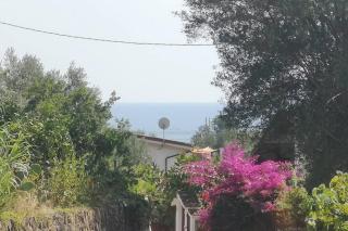 Villa Cilento Mare, bellissima con ampio giardino - Capitello - 3