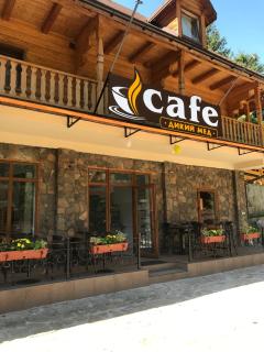Hotel Dykyi Med - Tatariv - 1