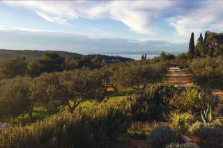 Sunset Hill Sutivan - Sutivan (San Giovanni di Brazza) - 6