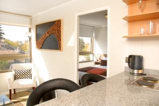 Apart Hotel Providencia - Santiago - 5