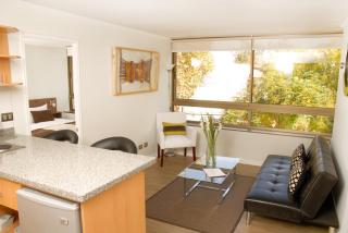 Apart Hotel Providencia - Santiago - 9