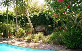 Squirrel's End - Cape Town - 2