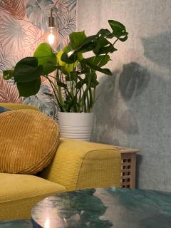 Tiny House de Eikhof - 1