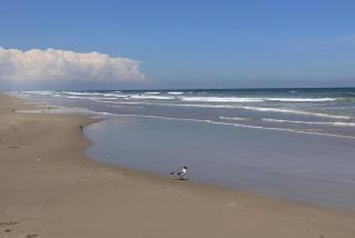 Flats Cottage A - Port Aransas - 1