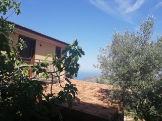 Agricoltura Rascio - San Mauro Cilento - 4