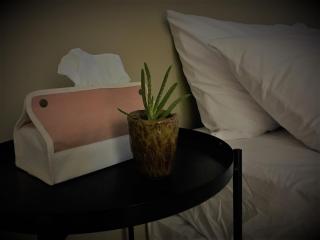 Twilight Art Villa - 6
