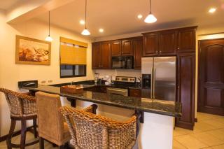 Monte Carlo Luxury Condominiums - 8