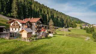 Stembergerhof - Urlaub am Bauerhof - Liesing - 5