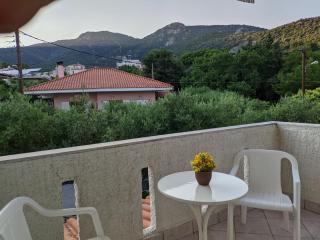 Casa di Theo - PalaiónTsiflíkion - 5