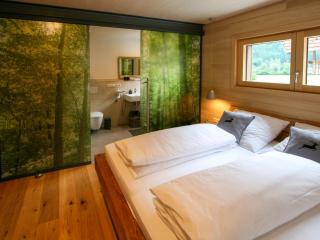 Apartment Kinast - HFT202 by Interhome - Hofstetten - 6
