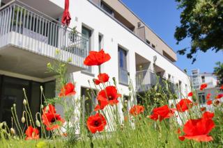 strandnahe, schicke Ferienwohnung mit Balkon direkt in Binz - Dünenresort 112 - Binz - 7