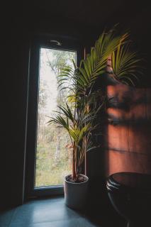 Hekso treehouse - 4
