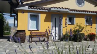 Apartma Brnistra Ginestra - Koper - 0