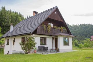 Počitniška hiša Pri Goričarju - Bohinjska Bistrica - 0
