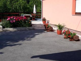Biljevina - 1