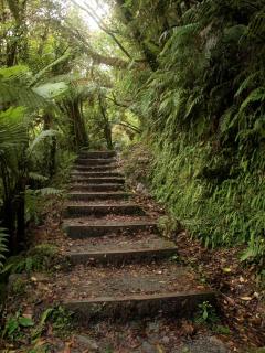 Ivorytowers Accommodation - Fox Glacier - 1