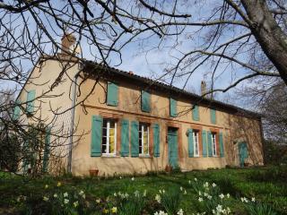 La Closerie de l'Autan - Fenouillet - 9