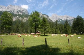 Knotzenlehen - Ramsau - 3