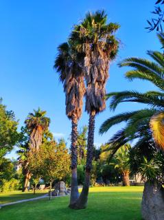 Chrouso Apartments - Paliouri - 8