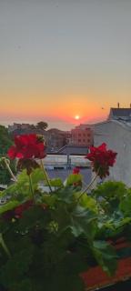 Villa Anticus (Adults Only) - Constanza - 3