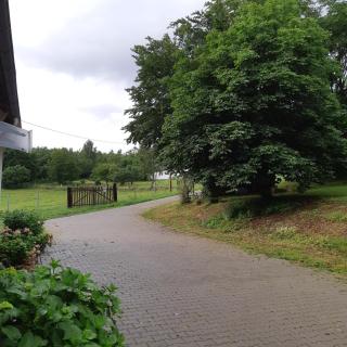 Am Hohestein - Briedeler Heck - 2