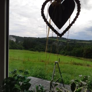 Am Hohestein - Briedeler Heck - 0