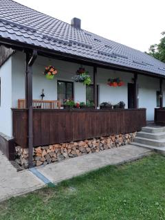 Casa Bunicilor - Ciprian Porumbescu - 3