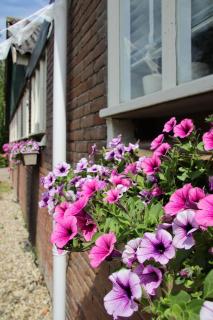 B&B Schotererf - Kuinre - 3